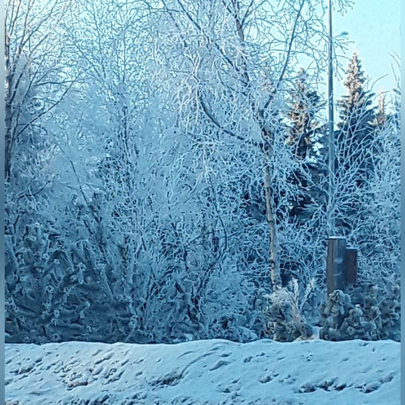 ✨Stay tuned for upcoming shows, pop-ups, and specialties shows!✨ - Picture 5 of 9